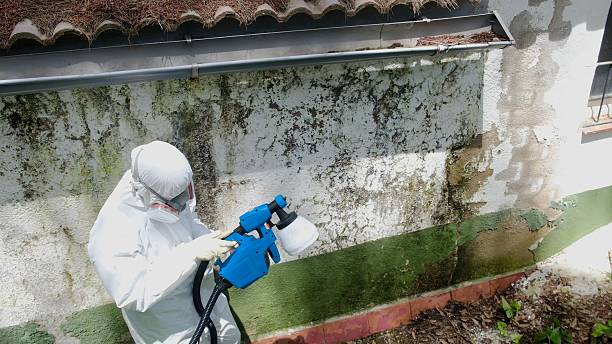 Top rated local Mold Remediation specialists in Bloomington, MD